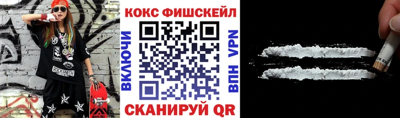 дарнет шоп  Ужур  Cocaine FishScale 