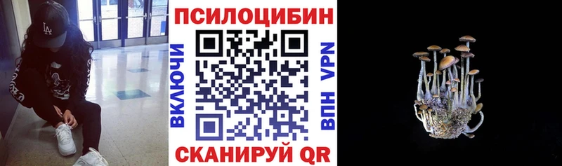 как найти   Ужур  Галлюциногенные грибы прущие грибы 